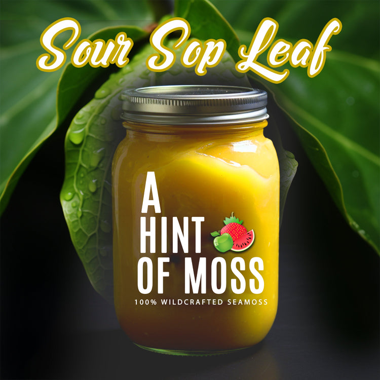 Herbal Infused Sea Moss