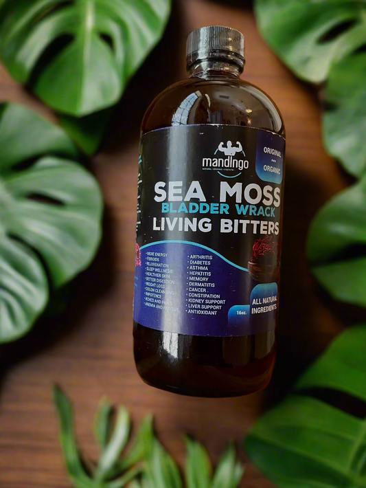 Sea Moss Bladder Wrack Living Bitters