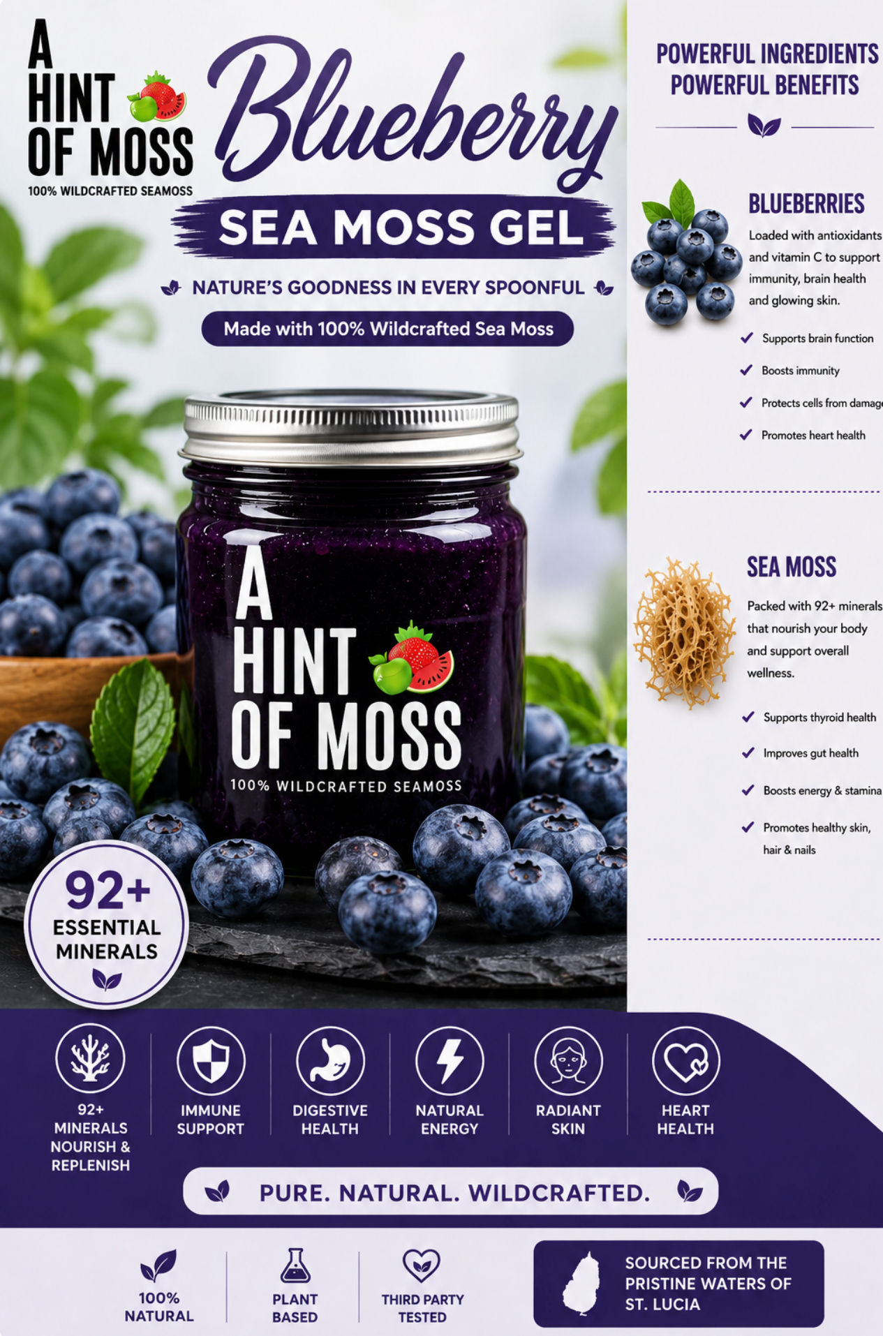 Blueberry Bliss Sea Moss