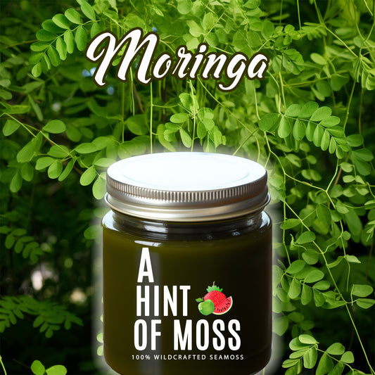 Moringa (Herbal Infusion) Sea Moss